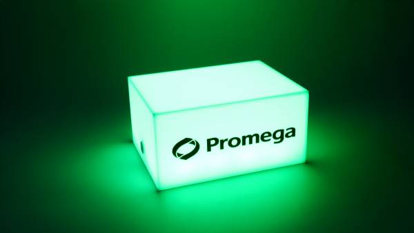 Arcyl Lightbox