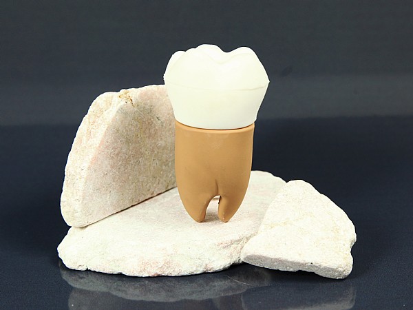 USB Stick Zahn