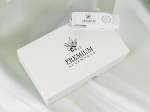 Twister Geschenkbundle USB Stick weiss klassik logo aufdruck