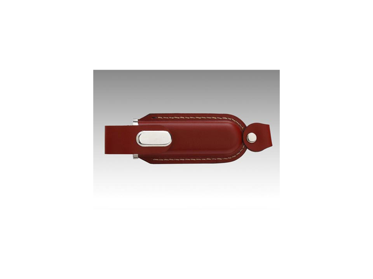 USB Leder Clip