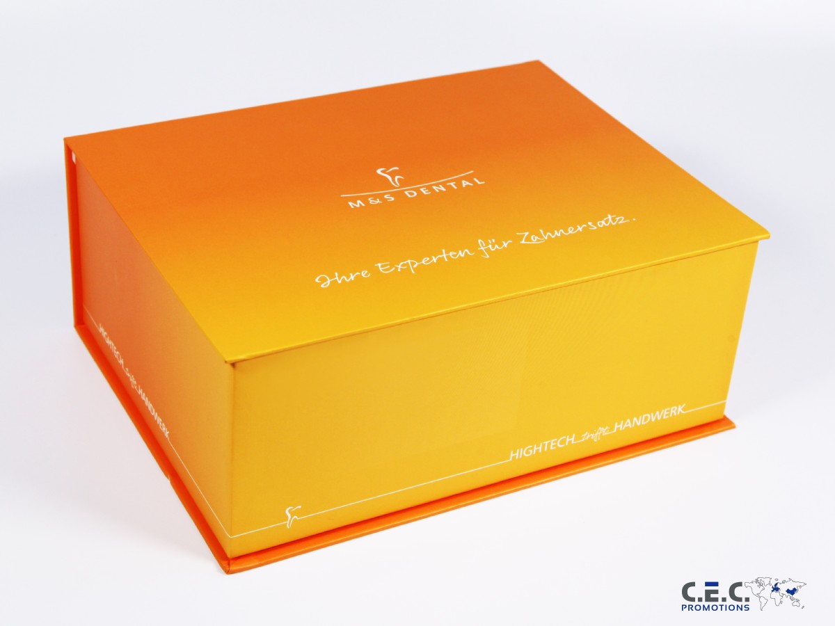 Dentalbox Maxi - 4 Ausschnitte
