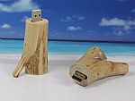 USB-Stick im Design eines Holzastes, ideal für personalisierte Werbung und kreative Präsentationen.