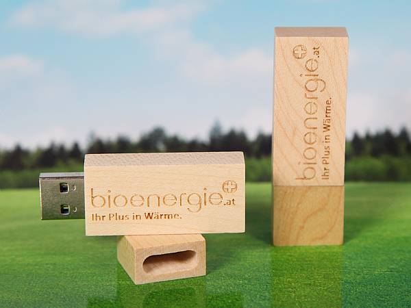 usb stick holz hellbraun natur gravur öko werbung