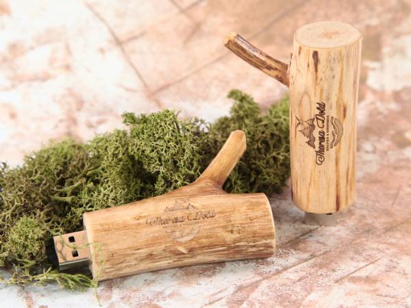 usb stick holzast hell natur umwelt holz hellbraun kreativ
