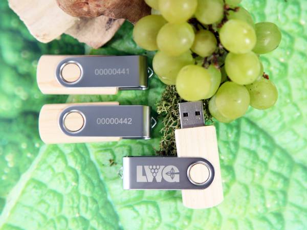 usb stick wein und trauben