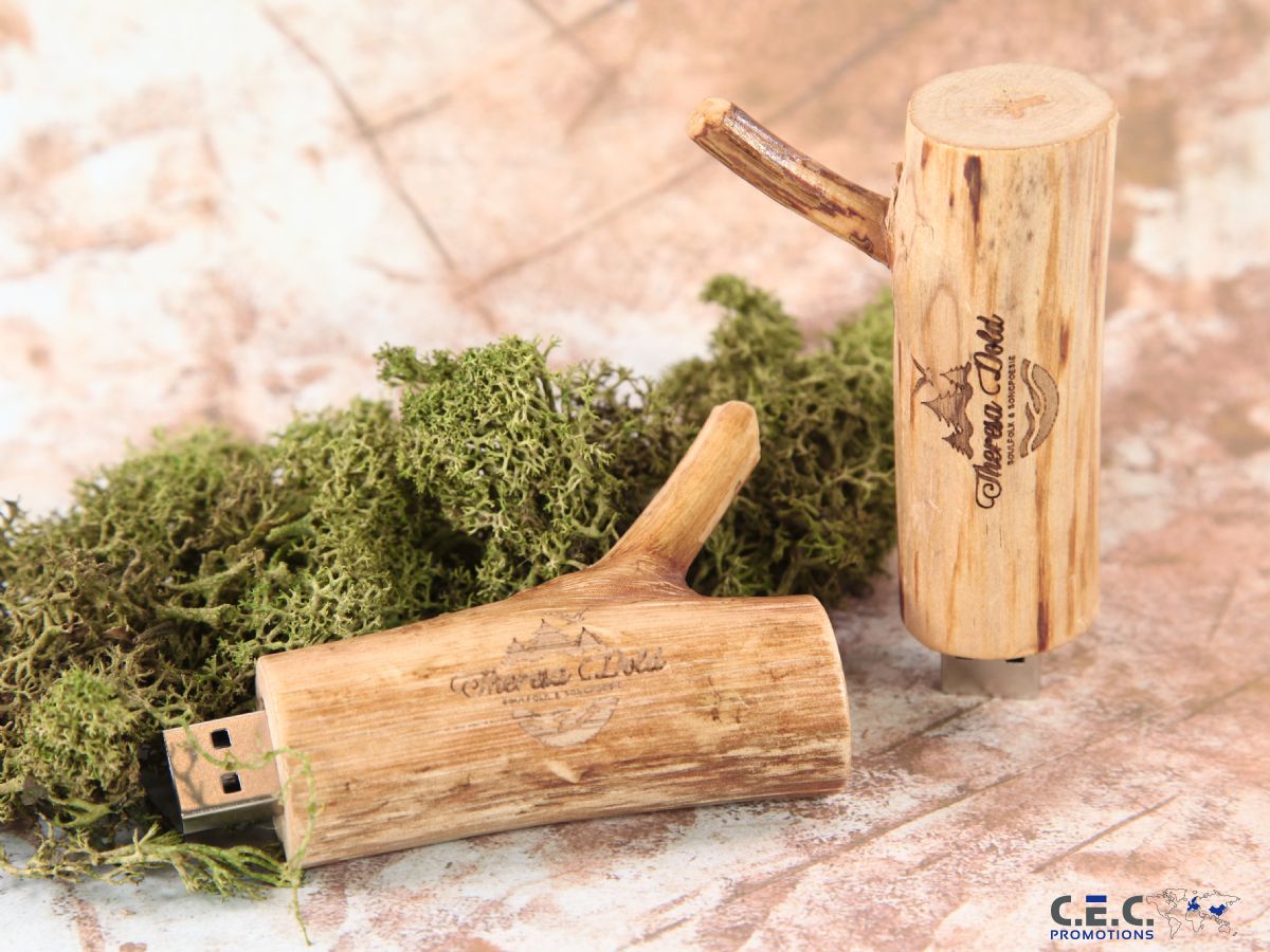usb stick holzast hell natur umwelt holz hellbraun kreativ