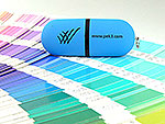 USB-Stick in Sonderfarbe pantone Logo-Aufdruck, Kunststoff.03