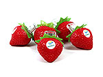 USB Stick Erdbeeren