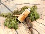 usb holzast hell naturstick ein stück natur aststück holzstück waldstick
