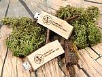 usb holzast laptop natur usb stick aststück flach hoszstück baum wald rinde natürlich