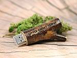 usb stick ast holz dunkel gravur logo werbung natur