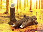 usb stick ast holz stamm natur logo