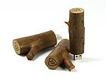 usb stick holz holzstamm ast logo