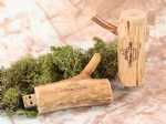 usb stick holzast hell natur umwelt holz hellbraun kreativ