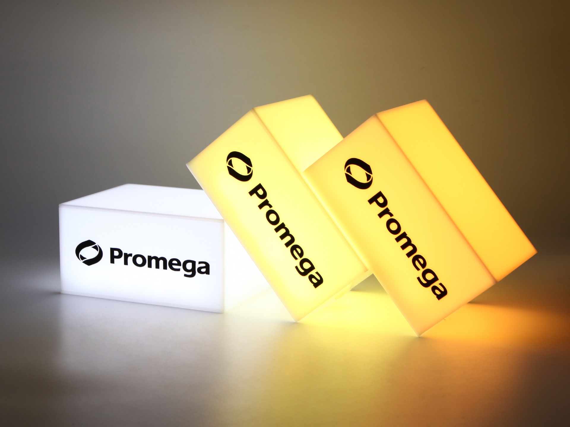 Leuchtboxen in verschiedenen Farben mit dem Logo von Promega, ideal für individuelle Werbung und Präsentationen.