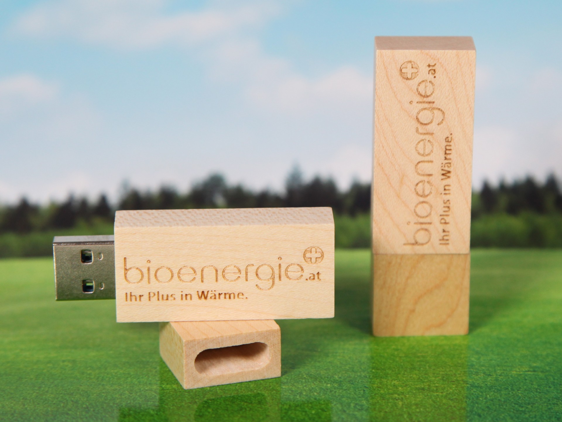 usb stick holz hellbraun natur gravur öko werbung